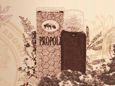 Propolis a propolisová tinktúra